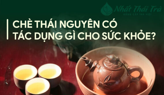 10 Tác dụng đặc biệt của chè Thái Nguyên