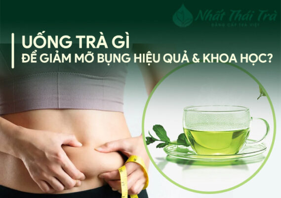 Uống chè có tác dụng gì cho sức khoẻ