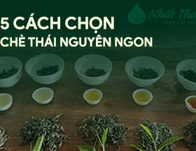 5 cách chọn chè thái nguyên ngon