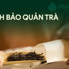 5 Cách bảo quản chè Thái Nguyên ngon hơn