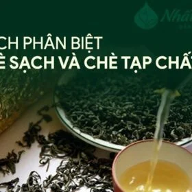 Cách phân biệt chè sạch và chè pha tạp chất