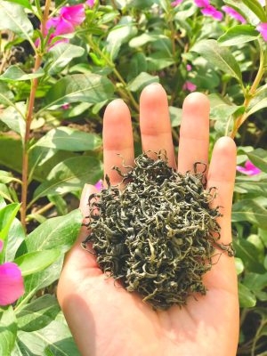 Chè thái nguyên là gì ? tổng hợp tin tức mới nhất về chè thái nguyên