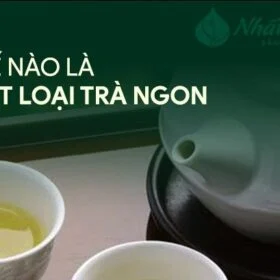 Thế nào là một loại trà ngon
