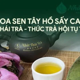Trà hoa sen Tây Hồ sấy cao cấp – Nhất Thái Trà thức Trà hội tụ tinh hoa