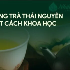 Uống trà Thái Nguyên sao cho hợp lý: vài nguyên tắc dễ nhớ