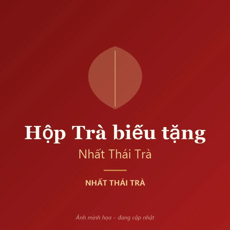 Hộp Trà biếu tặng Nhất Thái Trà – Nhất Thái Trà (ảnh minh họa)