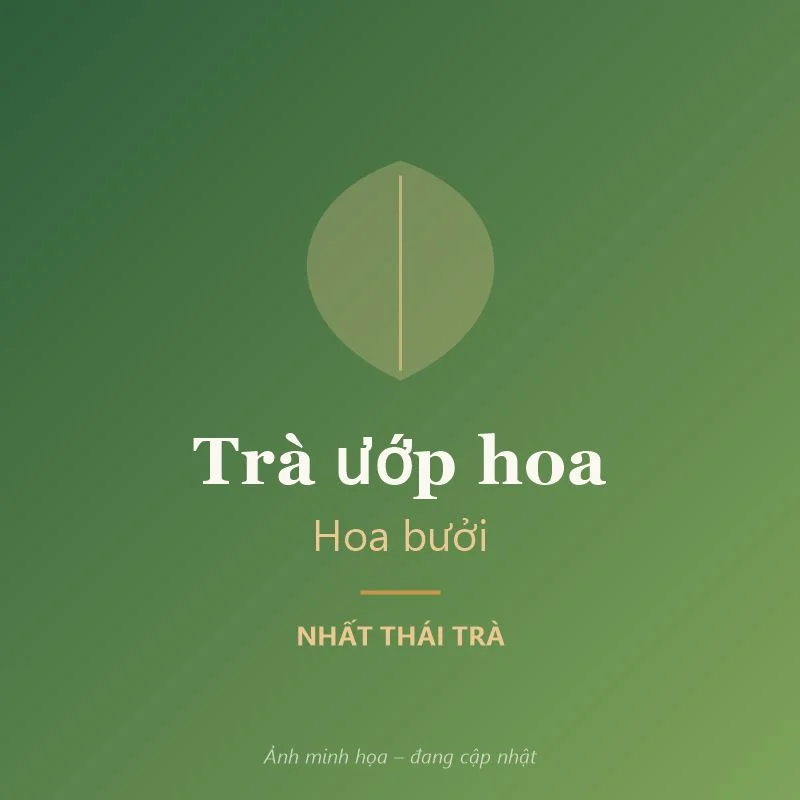 Quà tặng 8/3 2027: gợi ý trà biếu nhẹ nhàng, tinh tế