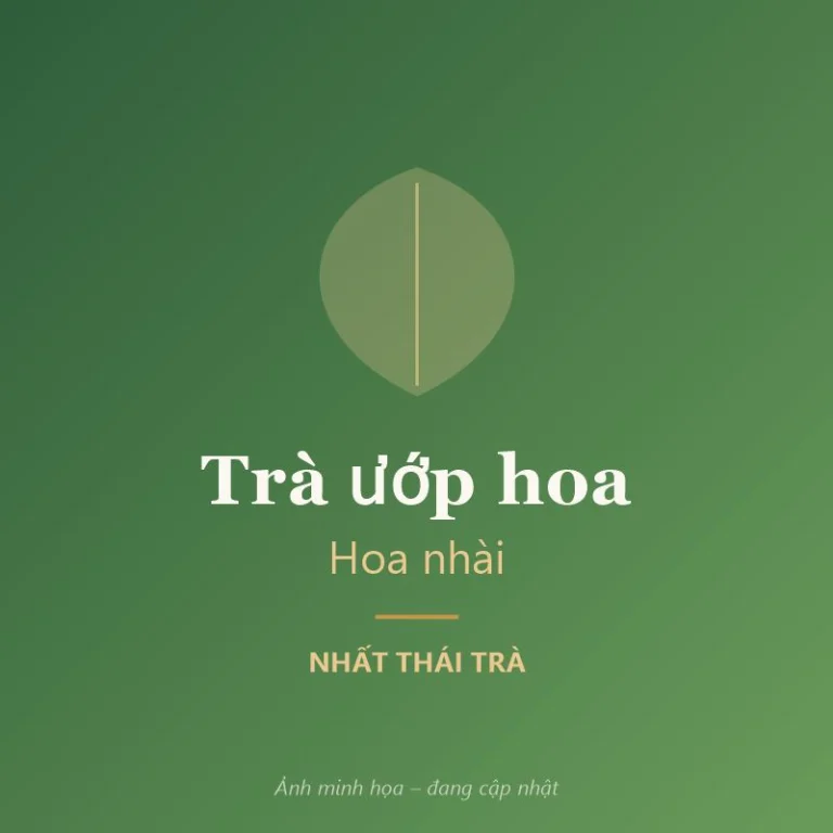 Nên uống chè Thái Nguyên hay trà ướp hoa? Chọn theo khẩu vị