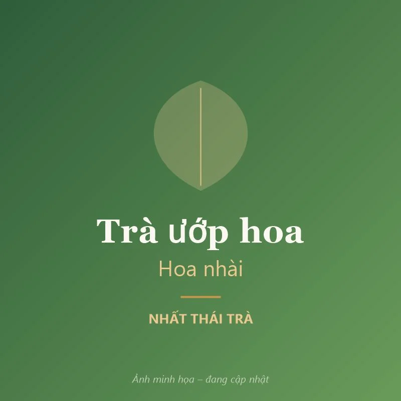 Trà ướp hoa nhài – Nhất Thái Trà (ảnh minh họa)